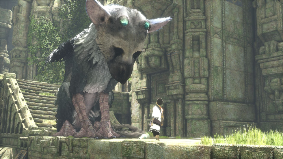 trico2