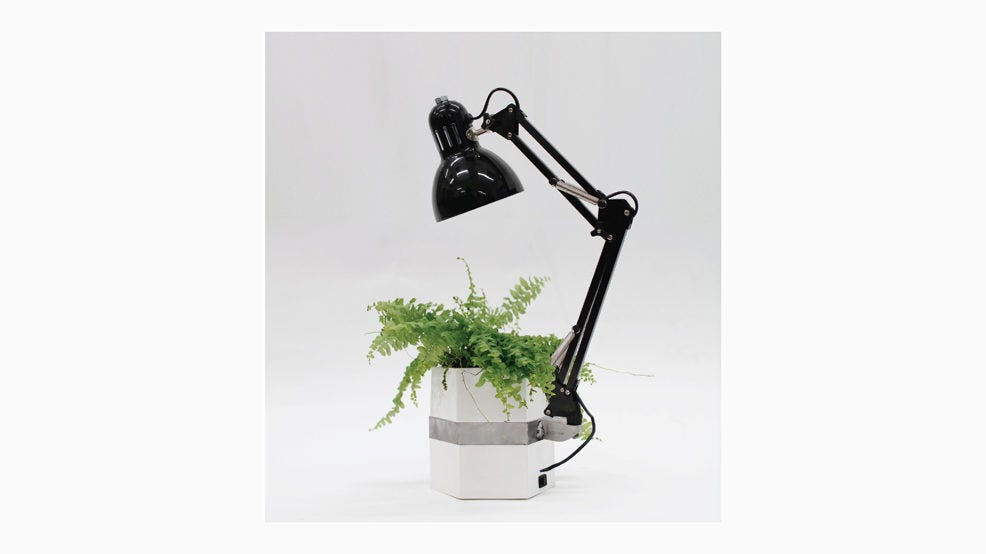 Photo of a a symbiotic lamp powered by house plants