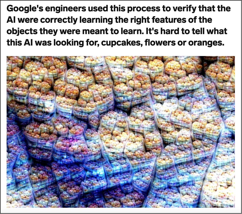 An image showing round objects in containers with text “Google’s engineers used this process to verify that the AI were correctly learning the right features of the objects they were meant to learn. It’s hard to tell what this AI was looking for, cupcakes, flowers or oranges.”