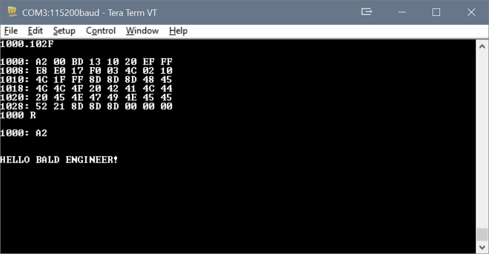 Terminal screenshot showing code from emulated Apple 1 monitor program. Says Hello Bald Engineer