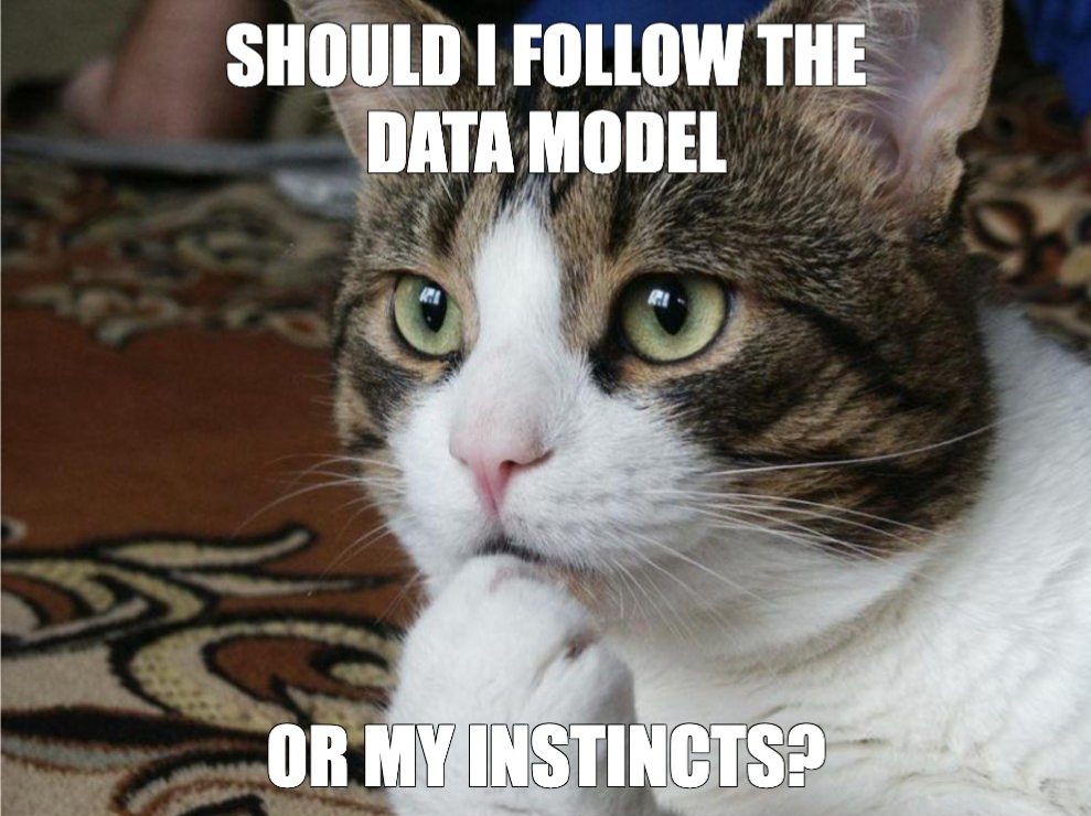 Should I follow the data model or trust my instincts?