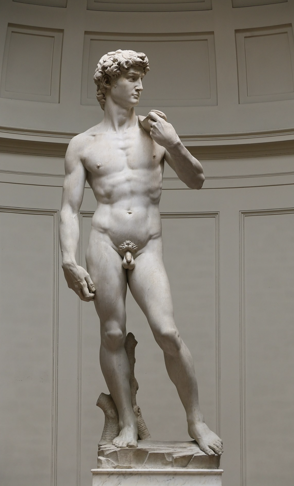https://en.wikipedia.org/wiki/David_(Michelangelo)