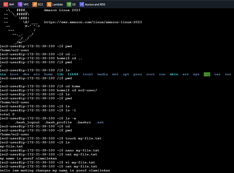 Week 4 of My Cloud Engineering Journey: Linux, IAM, and Real AWS Hands-On