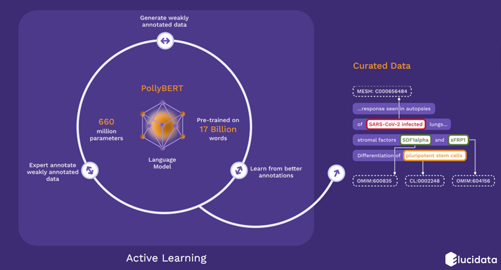 Elucidata’s PollyBERT