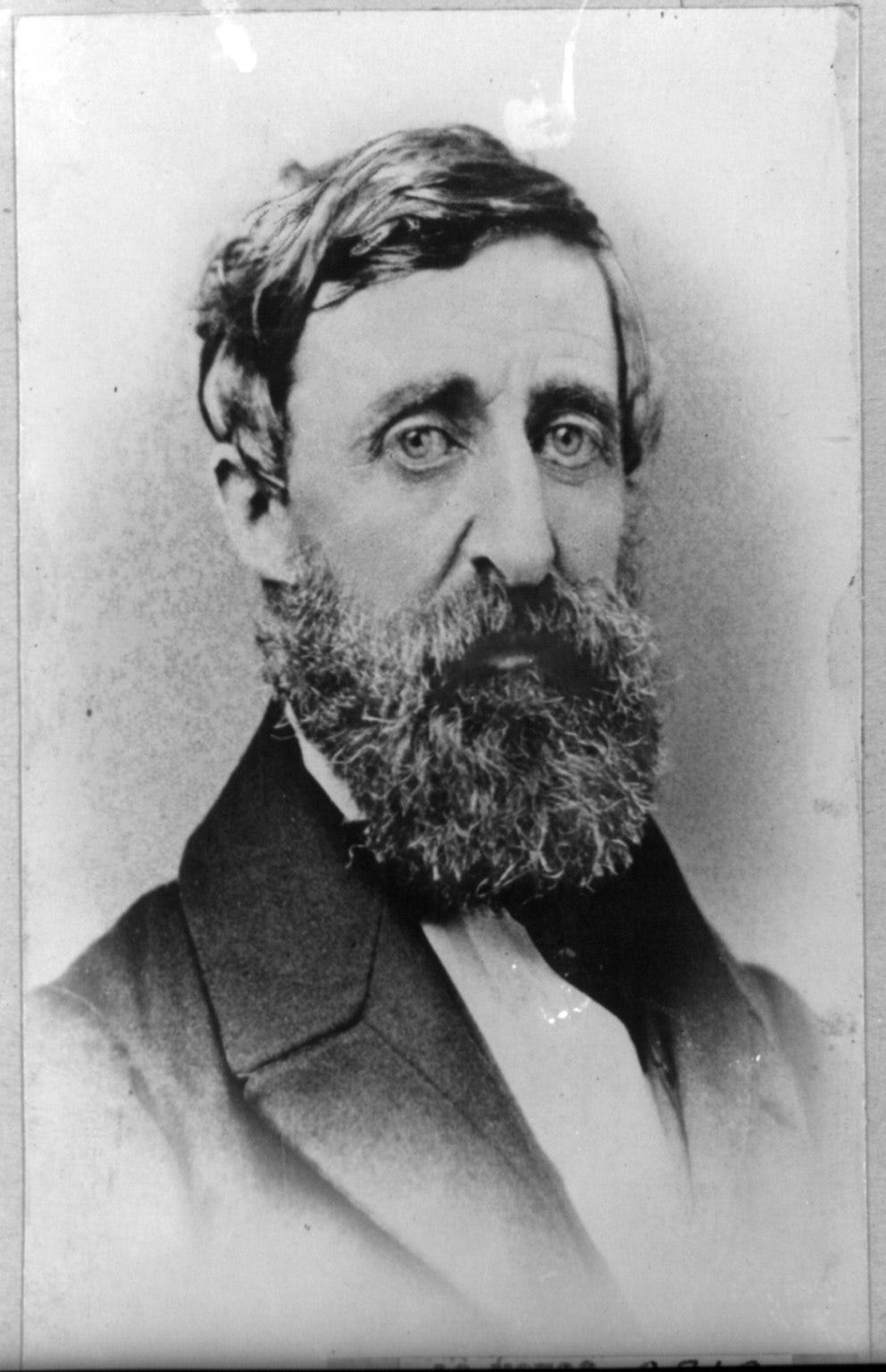 Henry David Thoreau, the original hipster.