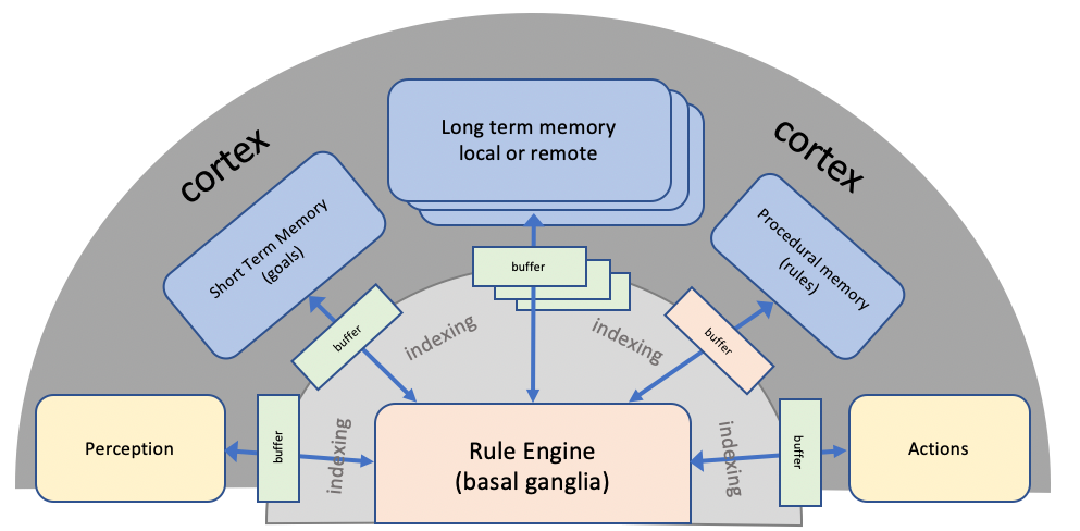 Cognition in terms of sequential rule execution operating on cognitive buffers.