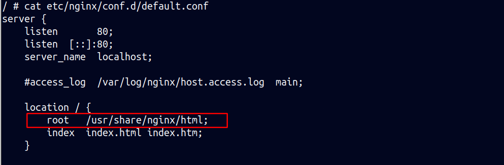 Showing value of root inside nginx