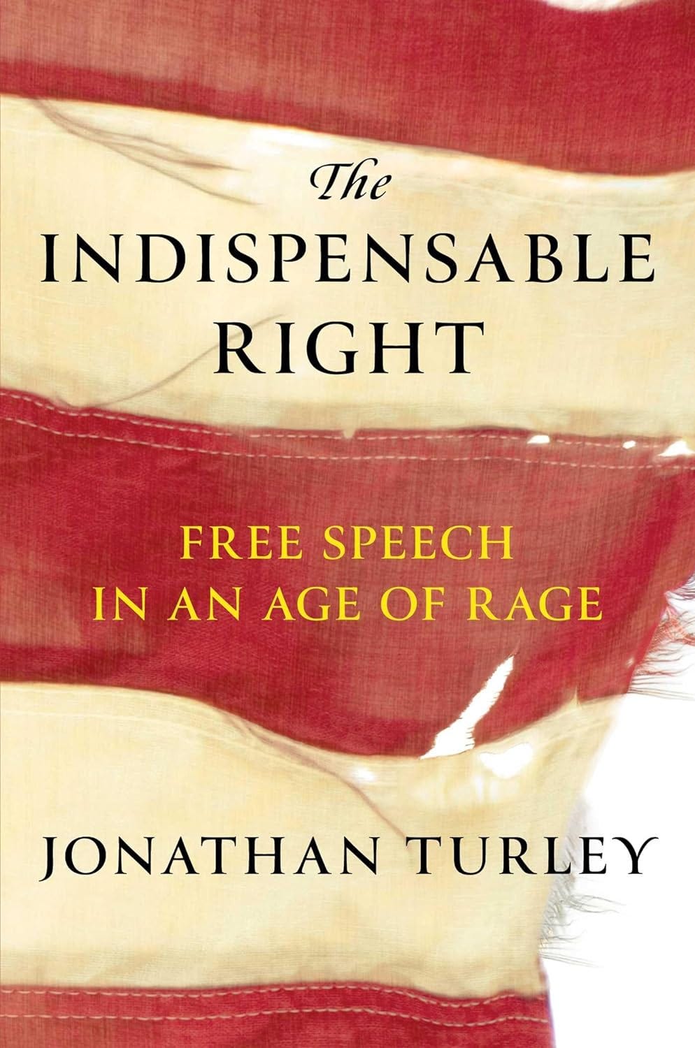 The Indispensable Right: Free Speech in an Age of Rage PDF