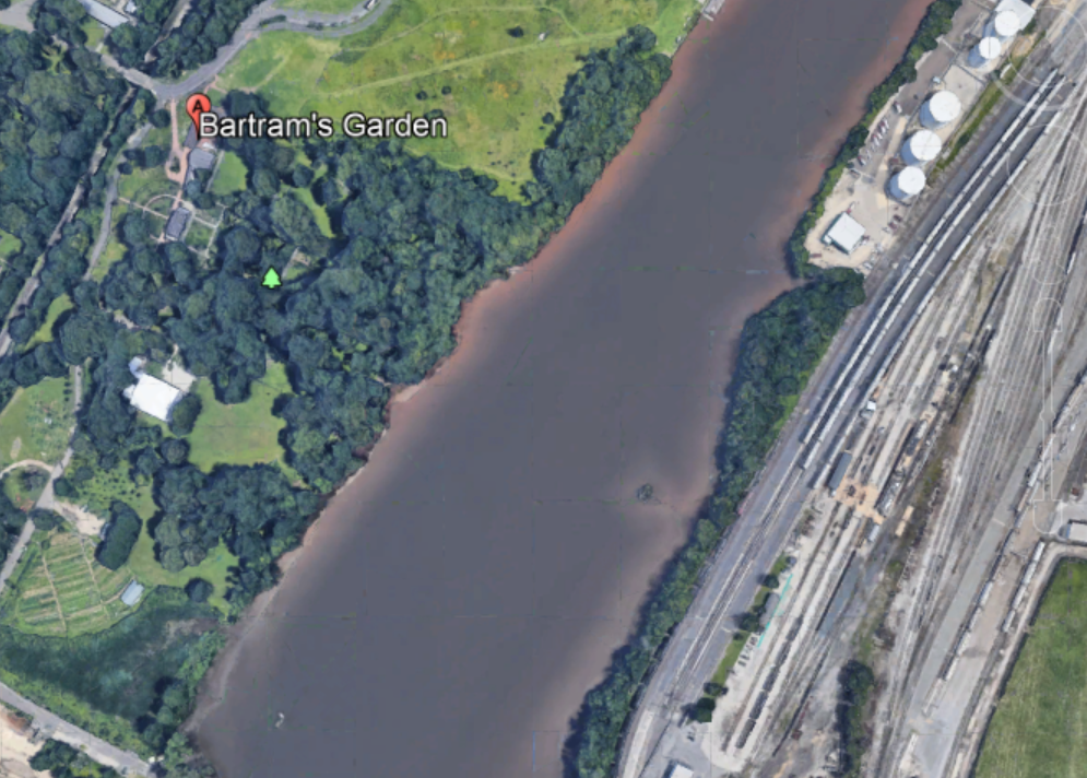 A satellite image of a riverbank with trees in a city