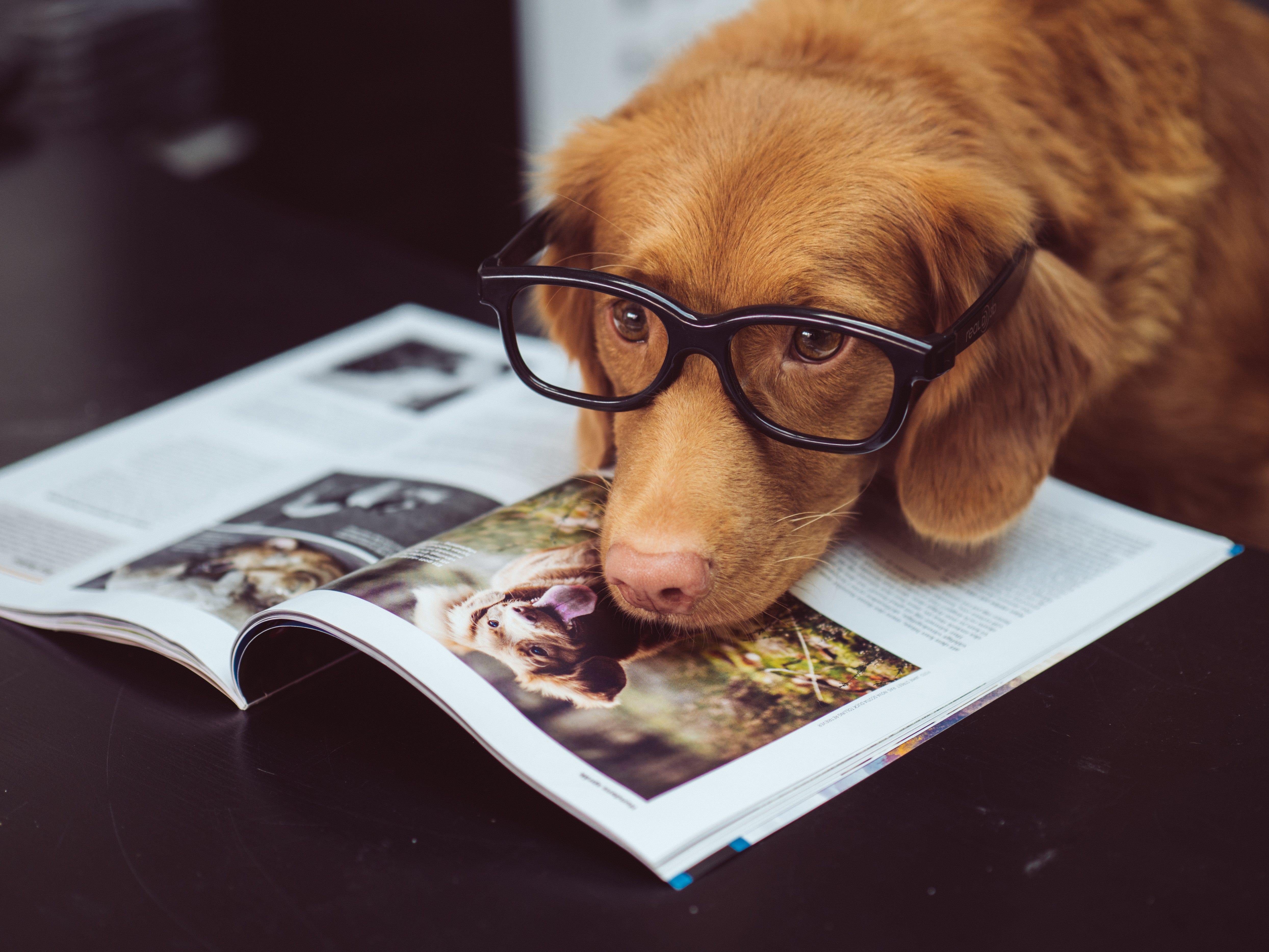 Photo by [Jamie Street](https://cdn.hashnode.com/res/hashnode/image/upload/v1630754110044/5jW_L5YhH.html) on [Unsplash](https://unsplash.com?utm_source=medium&utm_medium=referral)