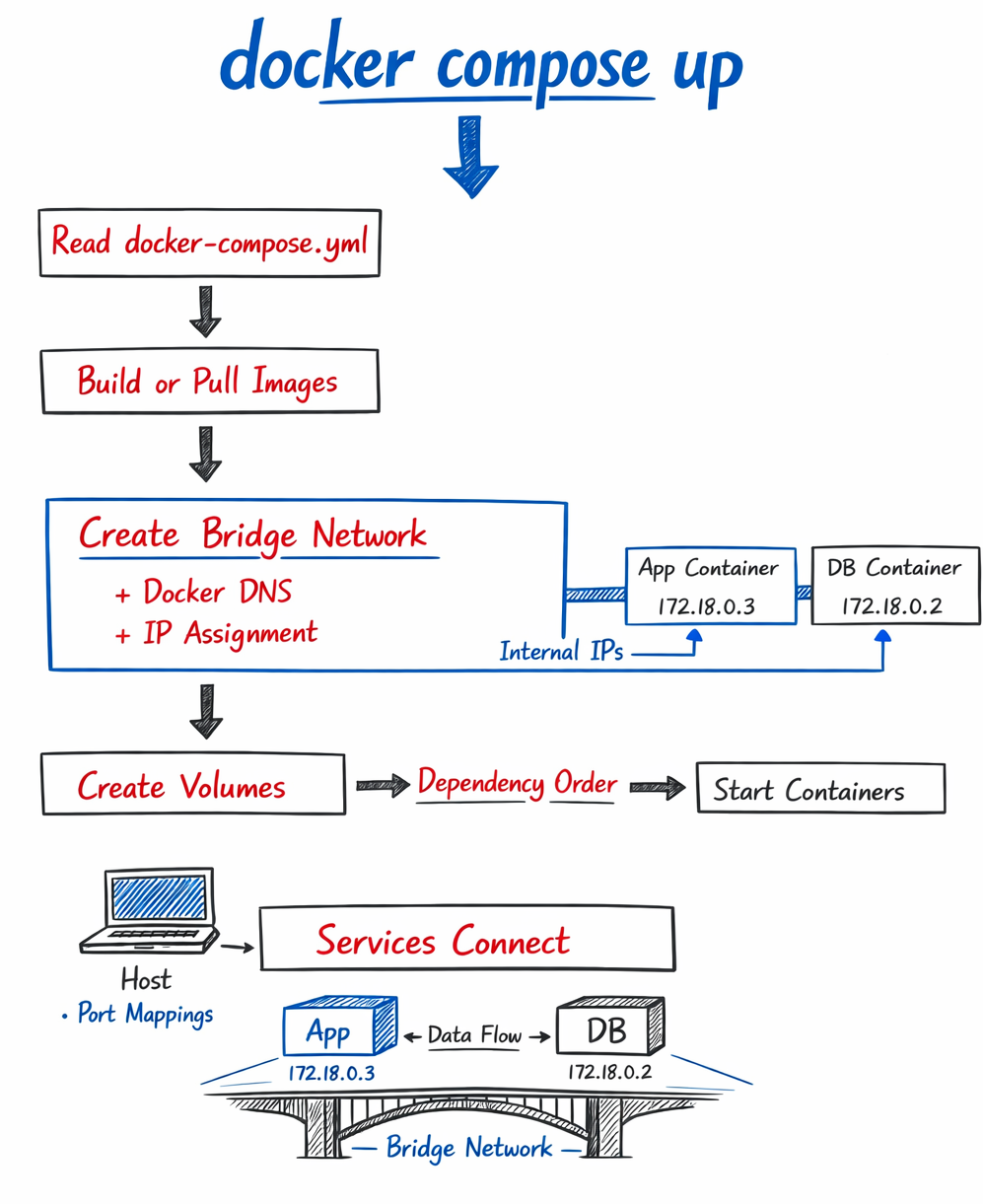 What Happens When You Run docker compose up?