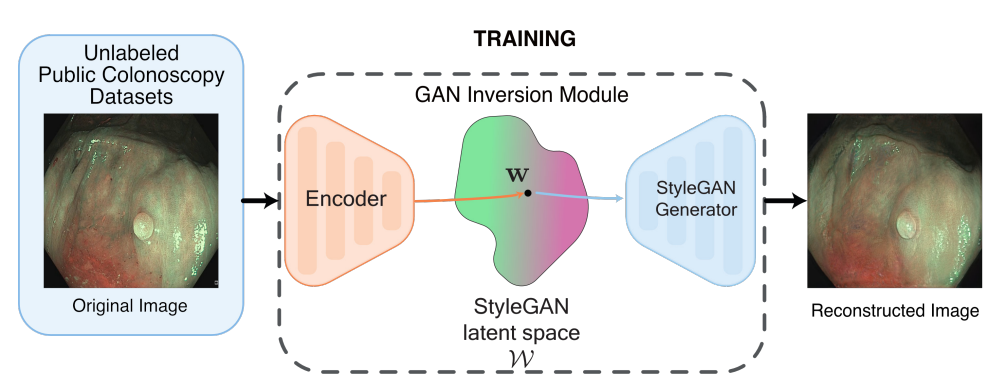 Explain it to me like I’m in High School: GAN Inversion for Data Augmentation to Improve…