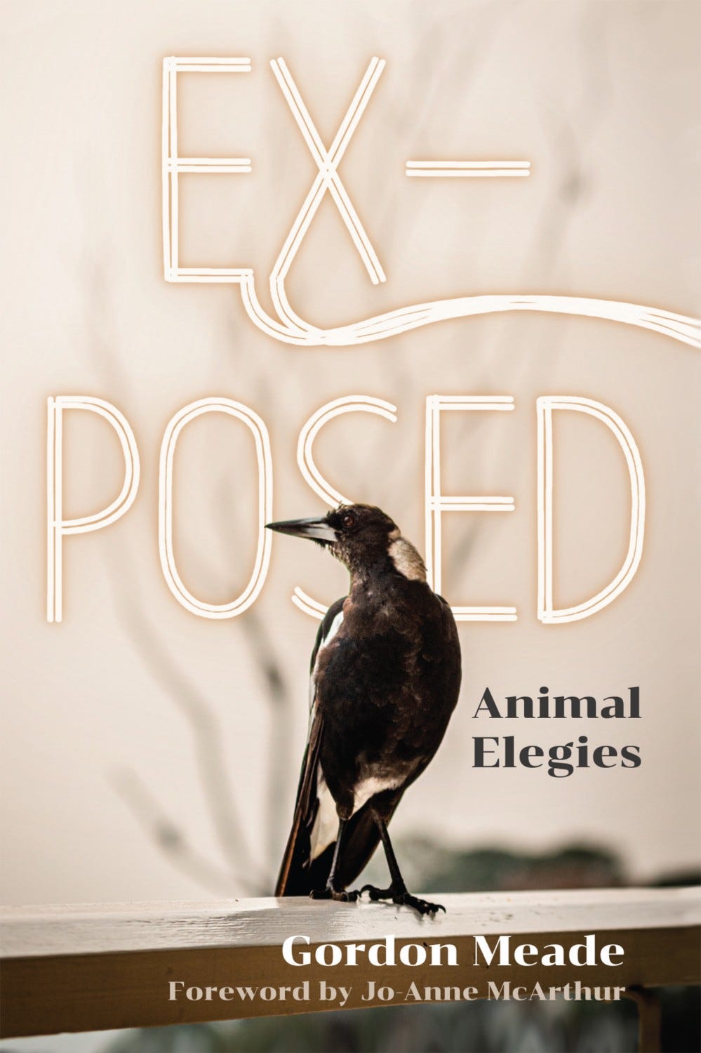 Scottish poet Meade’s second volume of poems reflects on the lives of animals as photographed by award-winning animal photojournalist Jo-Anne McArthur.