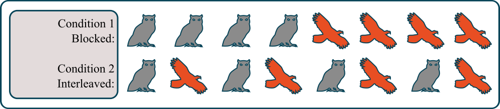 Diagram showing owls and hawks either categorised by type or mixed together.