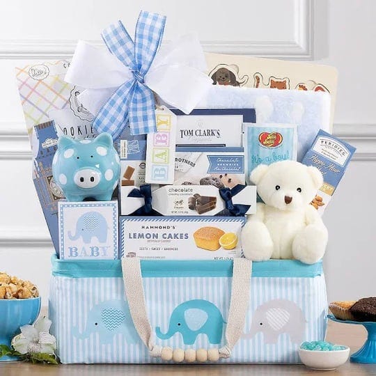 wine-country-gift-baskets-bundle-of-joy-blue-baby-boy-gift-baskets-1