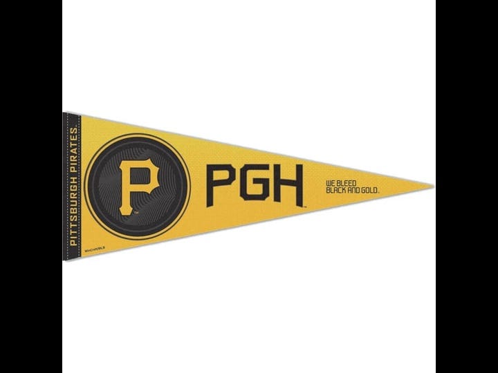 wincraft-pittsburgh-pirates-12-x-30-city-connect-premium-pennant-1