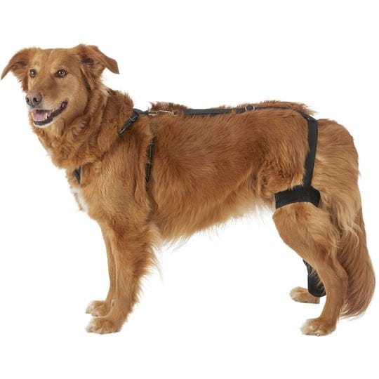 labra-dog-canine-k9-knee-stifle-brace-wrap-metal-hinged-support-not-applicable-1