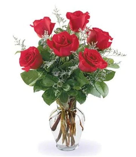 fancy-half-dozen-roses-vase-by-800florals-com-1