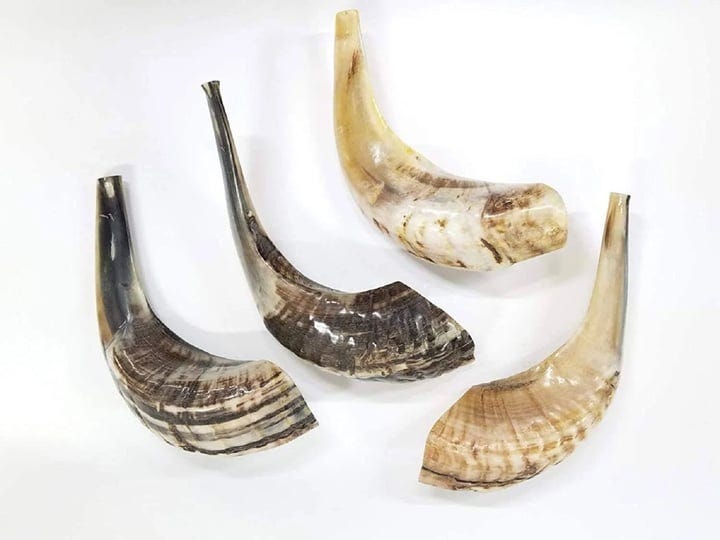 15-17-traditional-rams-horn-shofar-from-israel-1