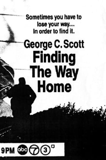 finding-the-way-home-1245924-1