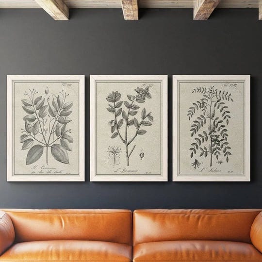 antique-black-and-white-botanical-vii-3-piece-picture-frame-drawing-print-set-on-canvas-kelly-clarks-1