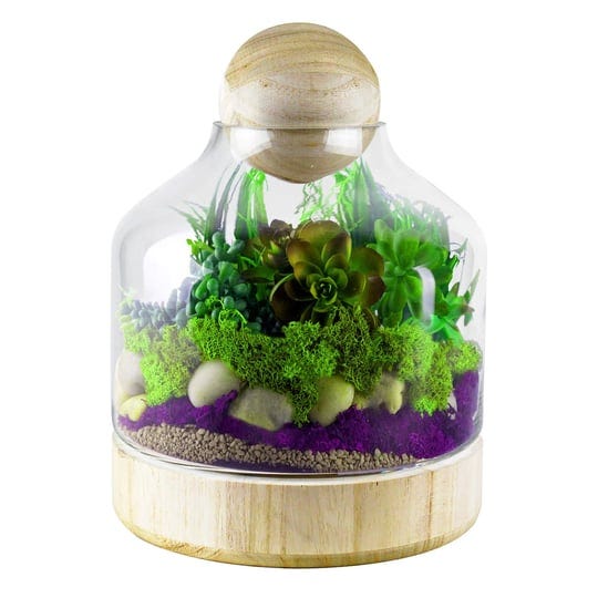 cys-excel-glass-wood-terrarium-container-h-10-w-7-multiple-size-choices-glass-terrarium-jars-plant-t-1