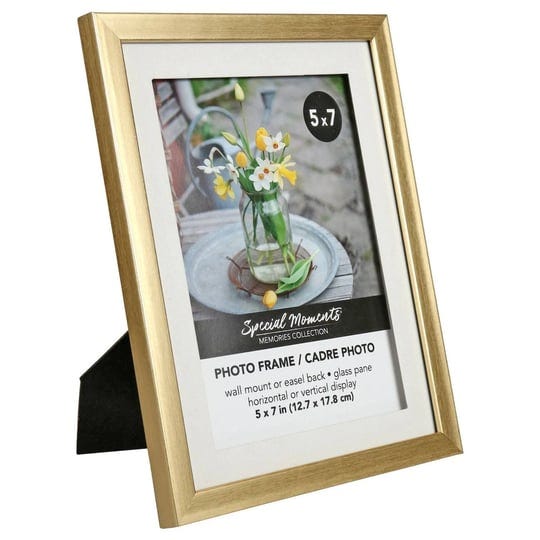 special-moments-memories-collection-matted-gold-plastic-picture-frames-at-dollar-tree-1