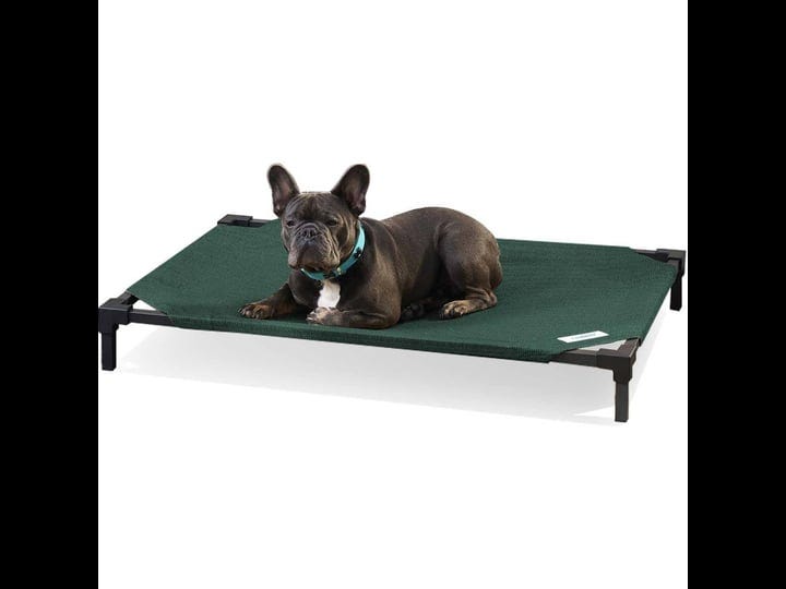 coolaroo-medium-brunswick-green-pet-bed-pro-1