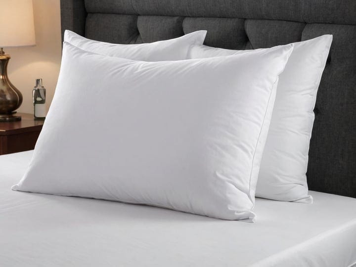 Pillow-Protector-4