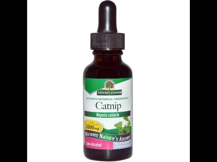 natures-answer-catnip-extract-2000-mg-1-fl-oz-1