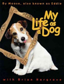 my-life-as-a-dog-3245033-1