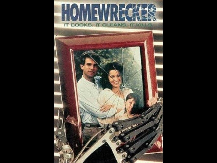 homewrecker-tt0104433-1