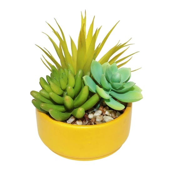 6-5-mixed-succulents-in-yellow-ceramic-pot-by-ashland-michaels-1