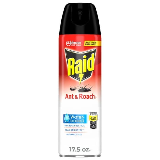 raid-ant-and-roach-killer-spray-17-5-oz-1