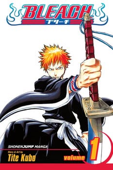 bleach-vol-1-185324-1