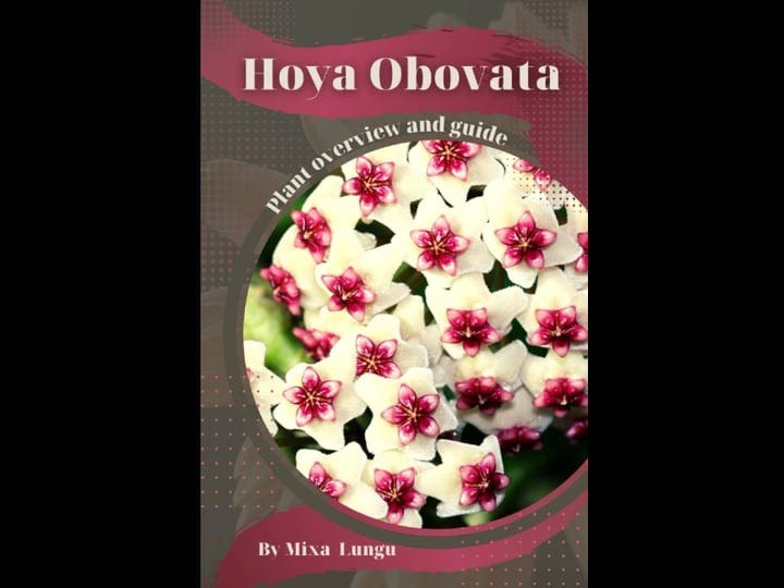 hoya-obovata-plant-overview-and-guide-book-1