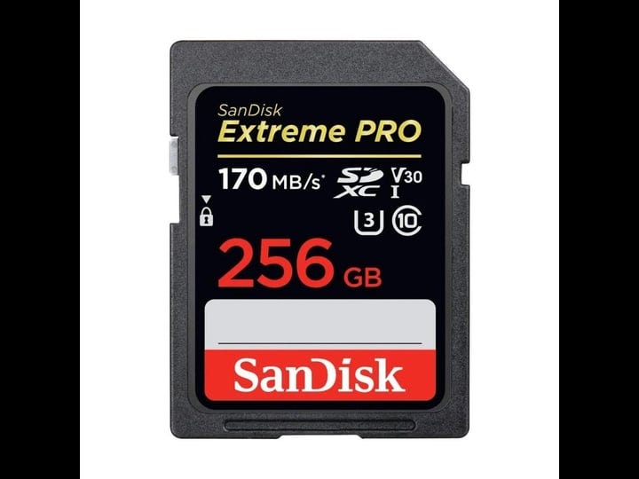 sandisk-extreme-pro-sdxc-uhs-i-card-256gb-1