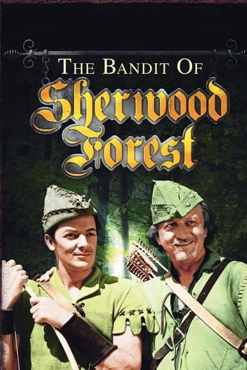the-bandit-of-sherwood-forest-4468689-1