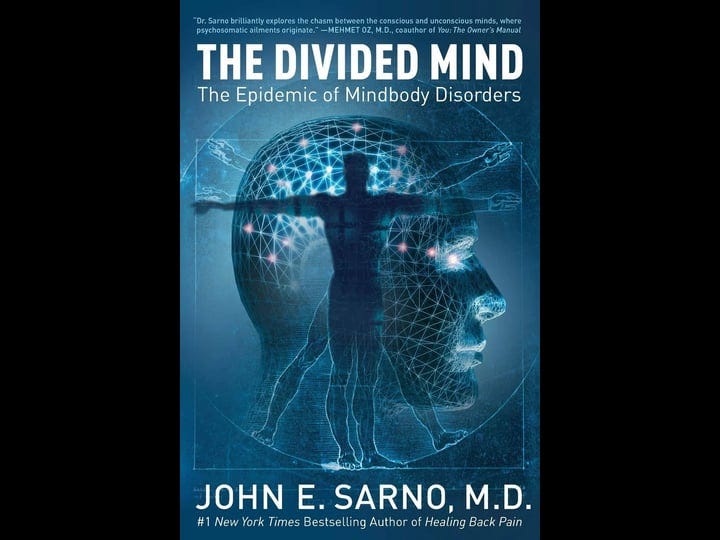 the-divided-mind-the-epidemic-of-mindbody-disorders-book-1