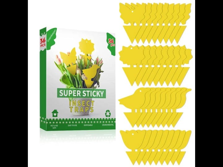 36-pcs-sticky-traps-for-fruit-fly-whitefly-fungus-gnat-mosquito-and-bug-yellow-insect-catcher-traps--1