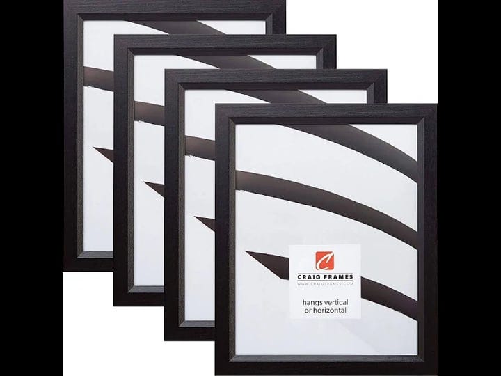 craig-frames-7171610bk-18-x-24-inch-picture-frame-black-set-of-5