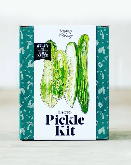 lacto-pickle-kit-1
