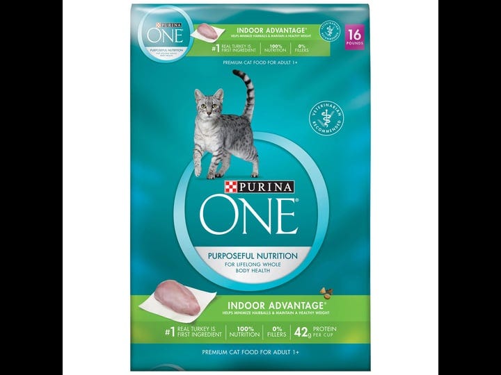purina-one-indoor-advantage-dry-cat-food-16-lb-bag-1