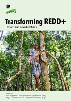 transforming-redd-1147908-1