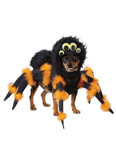 spider-pup-costume-1