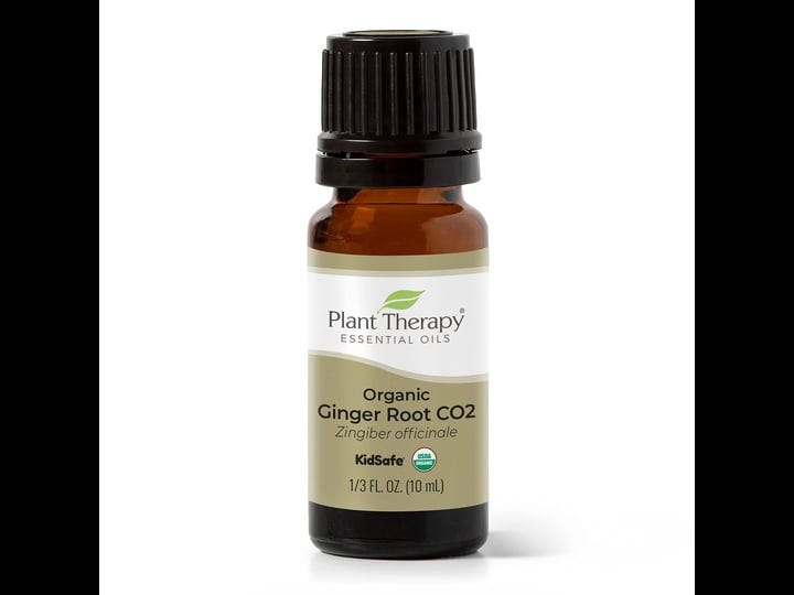 plant-therapy-organic-ginger-root-co2-essential-oil-10-ml-1-3-oz-100-pure-undiluted-natural-aromathe-1