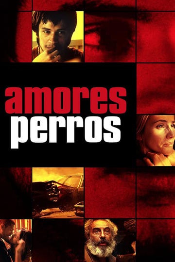 amores-perros-tt0245712-1