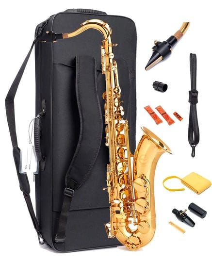 saxophone-herche-superior-bb-tenor-saxophone-x3-professional-instruments-for-all-levels-high-fkey-ed-1