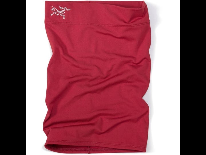 arcteryx-rho-neck-gaiter-long-1