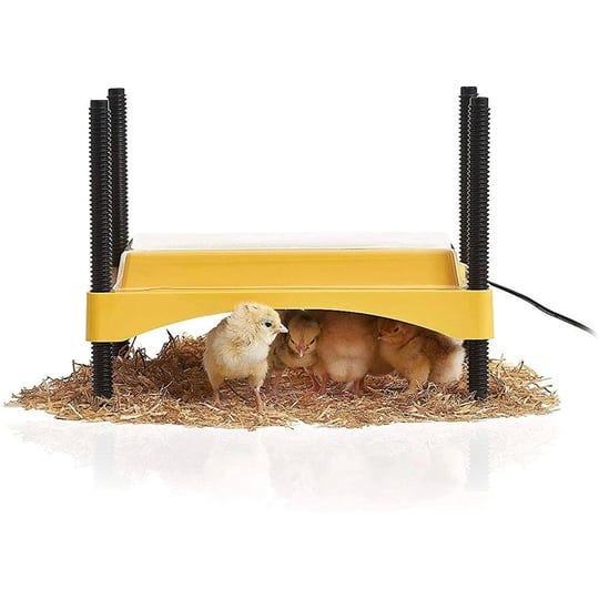 brinsea-ecoglow-safety-600-chick-brooder-1